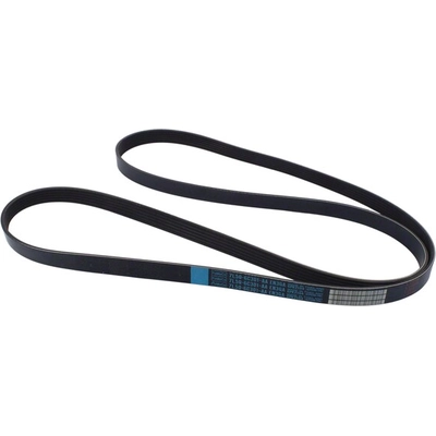 Serpentine Belt by MOTORCRAFT - JK6-834AA pa4