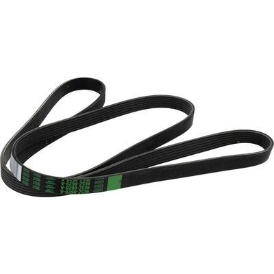Serpentine Belt by MOTORCRAFT - JK6-875A pa6