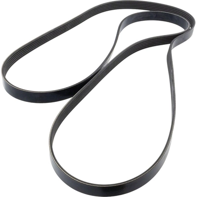 Serpentine Belt by MOTORCRAFT - JK6-884A pa6
