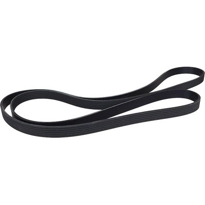 Serpentine Belt by MOTORCRAFT - JK6-884HA pa5