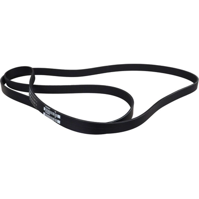 Serpentine Belt by MOTORCRAFT - JK6-884HA pa6