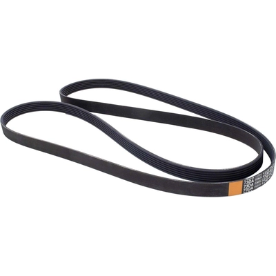 Serpentine Belt by MOTORCRAFT - JK6-886A pa2
