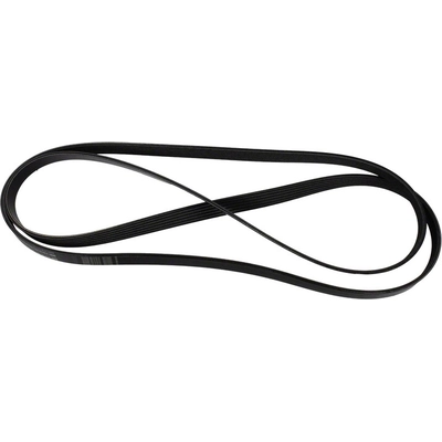 Serpentine Belt by MOTORCRAFT - JK6-892A pa4