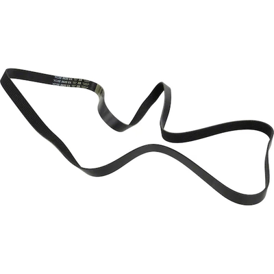 Serpentine Belt by MOTORCRAFT - JK8-996AA pa9
