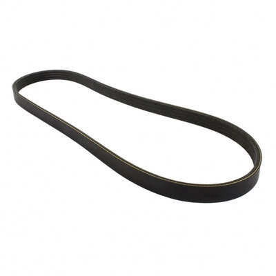 Serpentine Belt by MOTORCRAFT - JK4-331 pa4