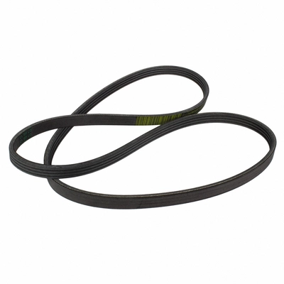 MOTORCRAFT - JK4-540 - Serpentine Belt pa2