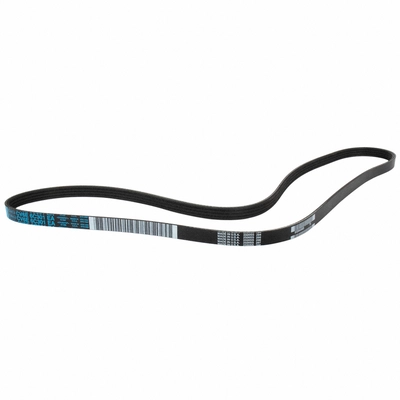 Serpentine Belt by MOTORCRAFT - JK4-542B pa2