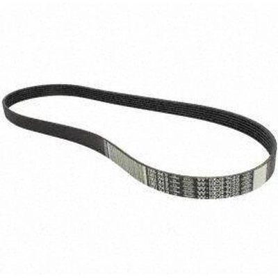 Serpentine Belt by MOTORCRAFT - JK6-424A pa11