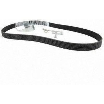 Serpentine Belt by MOTORCRAFT - JK6-441A pa3