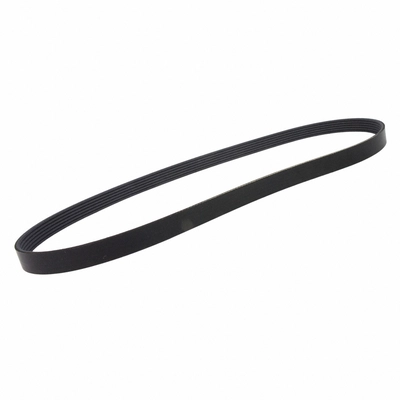 MOTORCRAFT - JK6-455D - Serpentine Belt pa2