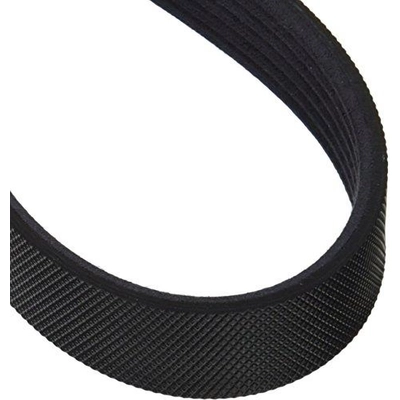 MOTORCRAFT - JK6-645 - Serpentine Belt pa5