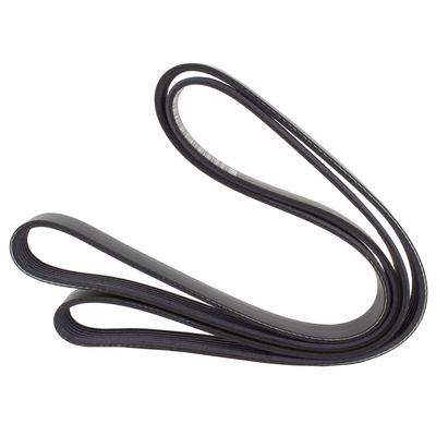 Serpentine Belt by MOTORCRAFT - JK6-695 pa2