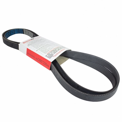 Serpentine Belt by MOTORCRAFT - JK6-834AA pa3