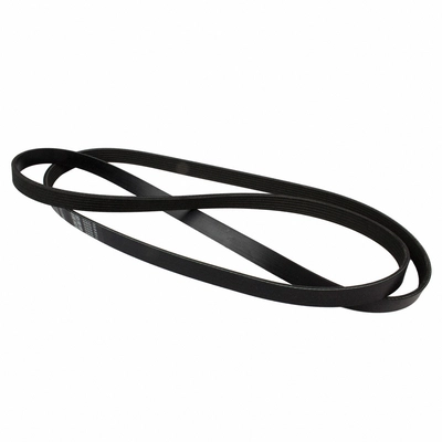 Courroie serpentine de MOTORCRAFT - JK6-844C pa5