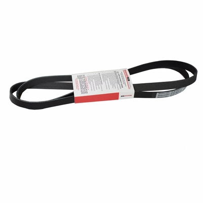 Serpentine Belt by MOTORCRAFT - JK6-861BA pa1