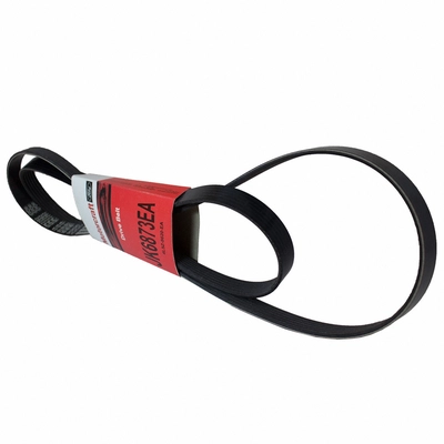 Serpentine Belt by MOTORCRAFT - JK6-873EA pa2
