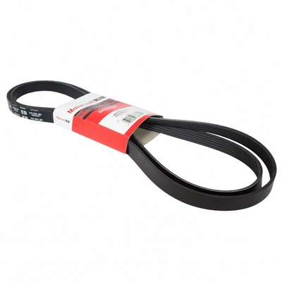 Serpentine Belt by MOTORCRAFT - JK6-876A pa1