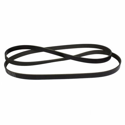 Serpentine Belt by MOTORCRAFT - JK6-881BB pa4