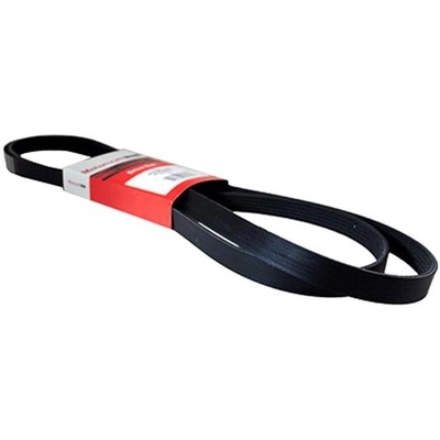 Courroie serpentine de MOTORCRAFT - JK6-882AB pa4