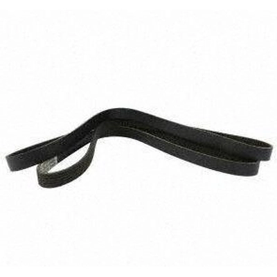 Serpentine Belt by MOTORCRAFT - JK6-883B pa5