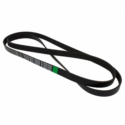 Serpentine Belt by MOTORCRAFT - JK6-889A pa6