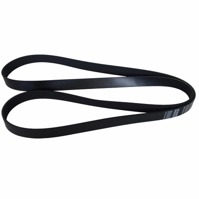 Serpentine Belt by MOTORCRAFT - JK8-872E pa2