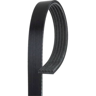 ROAD MAX - 5K370AP - Serpentine Belt pa4