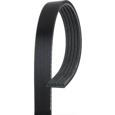 ROAD MAX - 5K460AP - V-Ribbed Belt pa3