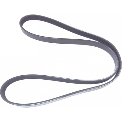 Serpentine Belt by ROAD MAX - 5K486AP pa1