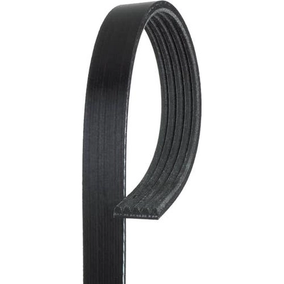 ROAD MAX - 5K551AP - Belt pa1