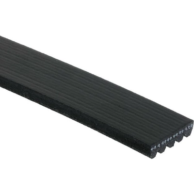 ROAD MAX - 5K551AP - Belt pa2