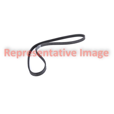 Serpentine Belt by ROAD MAX - 5K658AP pa1