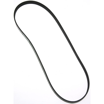 ROAD MAX - 6K492AP - Serpentine Belt pa1