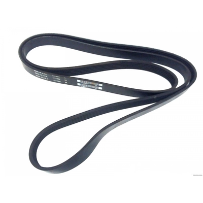 ROAD MAX - 6K795AP - Serpentine Belt pa1