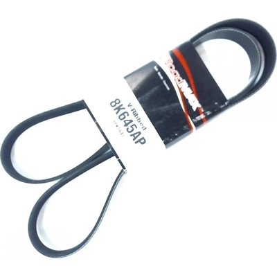 Serpentine Belt by ROAD MAX - 8K645AP pa1