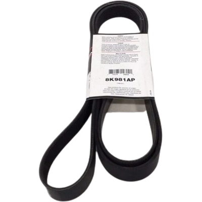 ROAD MAX - 8K981AP - Serpentine Belt pa2