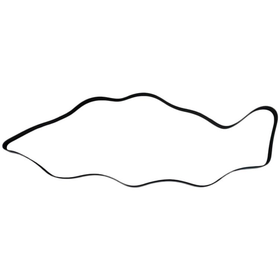 SKP - S7PK2217 - Serpentine Belt Anti-Slip Shield pa2