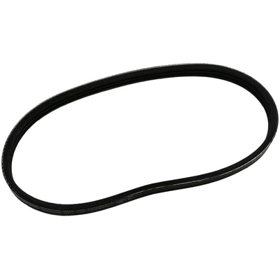 SKP - SK030196 - Serpentine Belt Anti-Slip Shield pa1