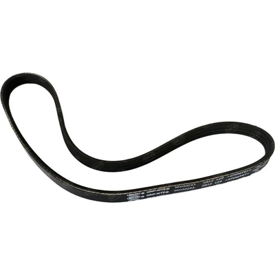 SKP - SK030243 - Serpentine Belt pa1
