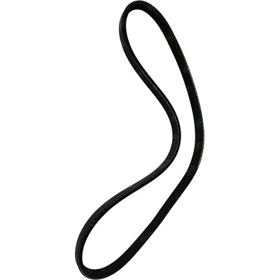 SKP - SK030243 - Serpentine Belt pa2