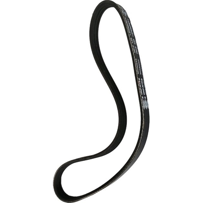 SKP - SK030243 - Serpentine Belt pa4
