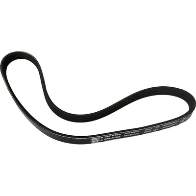 SKP - SK030243 - Serpentine Belt pa6