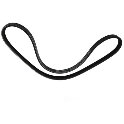 SKP - SK030293 - Serpentine Belt pa1