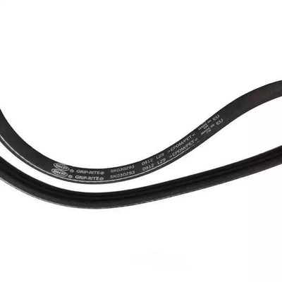 SKP - SK030293 - Serpentine Belt pa2