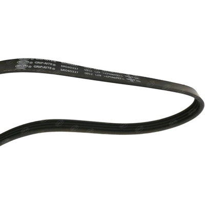 SKP - SK040337 - Serpentine Belt pa3