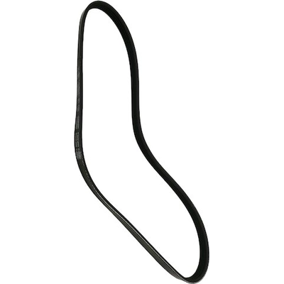 SKP - SK040337 - Serpentine Belt pa4