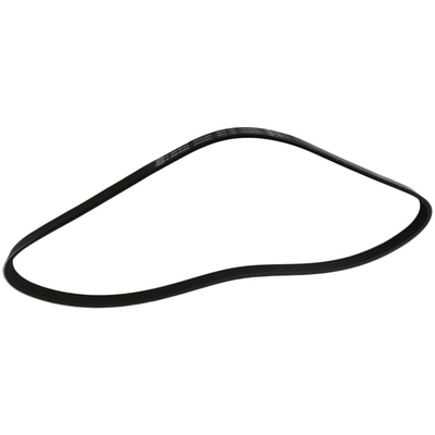 SKP - SK040359 - Serpentine Belt Anti-Slip Shield pa1