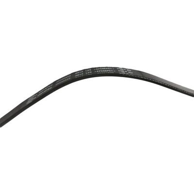 SKP - SK040359 - Serpentine Belt Anti-Slip Shield pa2