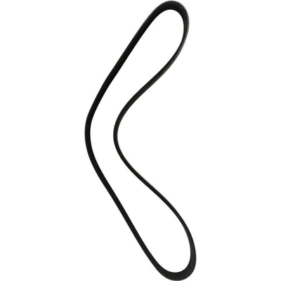 Serpentine Belt by SKP - SK040360 pa2