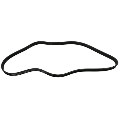 SKP - SK040378HD - Serpentine Belt pa2